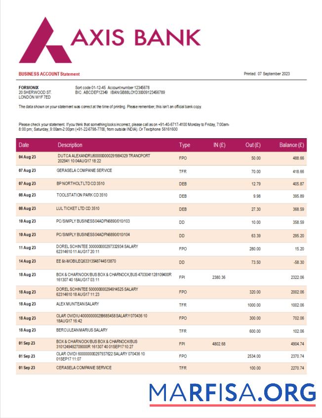 Blank Axis Bank enterprise statement Word and PDF template